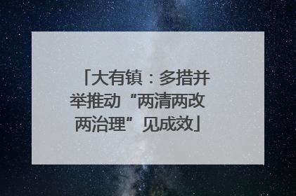 大有镇：多措并举推动“两清两改两治理”见成效