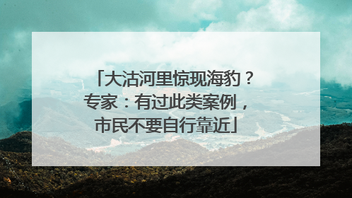 大沽河里惊现海豹？专家：有过此类案例，市民不要自行靠近