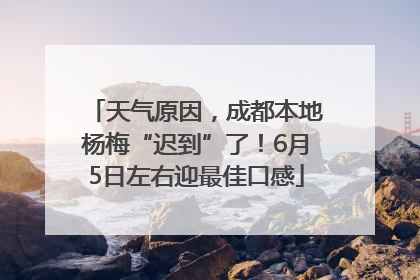 天气原因，成都本地杨梅“迟到”了！6月5日左右迎最佳口感