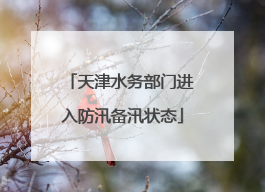 天津水务部门进入防汛备汛状态