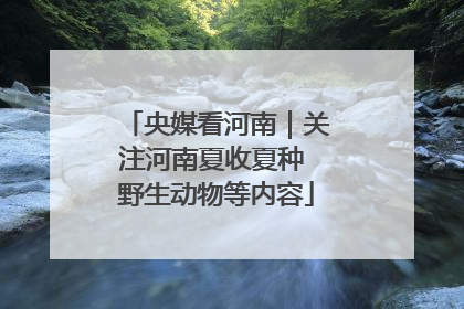 央媒看河南｜关注河南夏收夏种 野生动物等内容