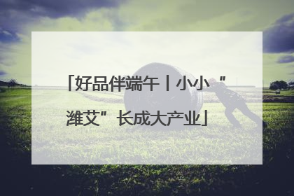 好品伴端午丨小小“潍艾”长成大产业