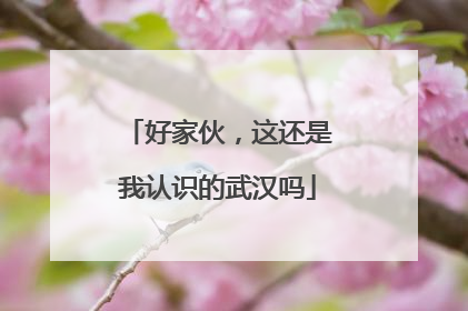 好家伙，这还是我认识的武汉吗