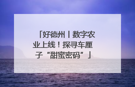 好德州丨数字农业上线！探寻车厘子“甜蜜密码”