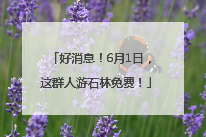 好消息！6月1日，这群人游石林免费！
