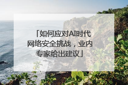 如何应对AI时代网络安全挑战，业内专家给出建议
