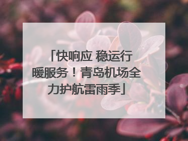 快响应 稳运行 暖服务！青岛机场全力护航雷雨季