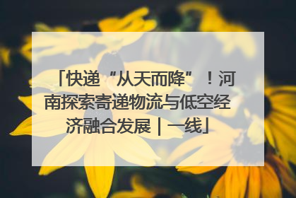 快递“从天而降”！河南探索寄递物流与低空经济融合发展｜一线