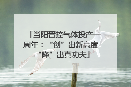 当阳晋控气体投产一周年：“创”出新高度 “降”出真功夫