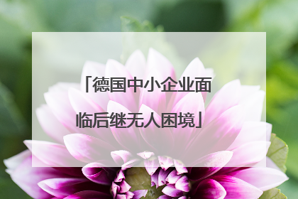 德国中小企业面临后继无人困境