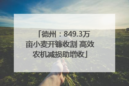 德州：849.3万亩小麦开镰收割 高效农机减损助增收