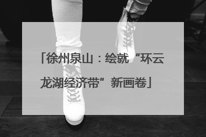 徐州泉山：绘就“环云龙湖经济带”新画卷