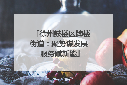 徐州鼓楼区牌楼街道：聚势谋发展 服务赋新能
