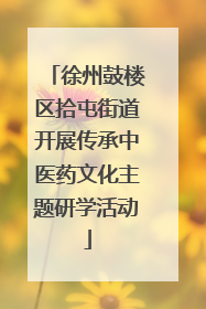 徐州鼓楼区拾屯街道开展传承中医药文化主题研学活动