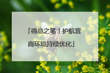 得意之笔丨护航营商环境持续优化