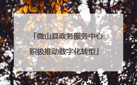 微山县政务服务中心积极推动数字化转型