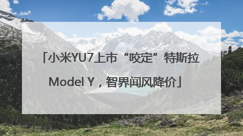 小米YU7上市“咬定”特斯拉Model Y，智界闻风降价