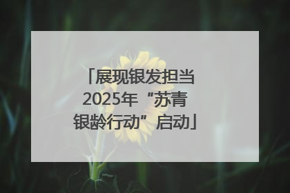 展现银发担当 2025年“苏青银龄行动”启动