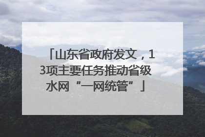 山东省政府发文，13项主要任务推动省级水网“一网统管”