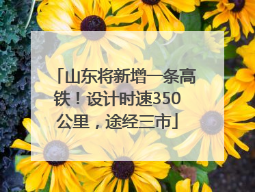 山东将新增一条高铁！设计时速350公里，途经三市