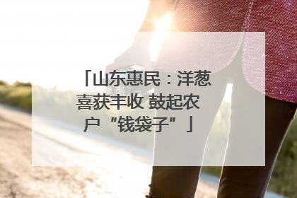 山东惠民：洋葱喜获丰收 鼓起农户“钱袋子”