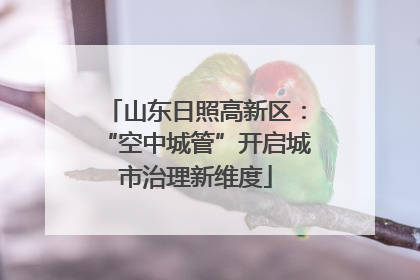 山东日照高新区：“空中城管”开启城市治理新维度
