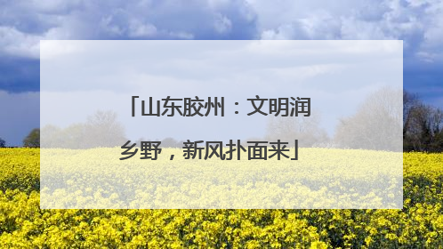 山东胶州：文明润乡野，新风扑面来