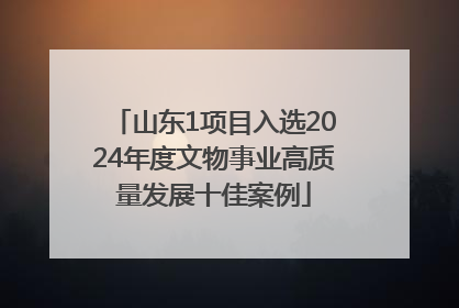 山东1项目入选2024年度文物事业高质量发展十佳案例