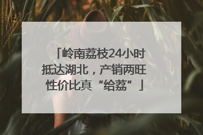 岭南荔枝24小时抵达湖北，产销两旺性价比真“给荔”