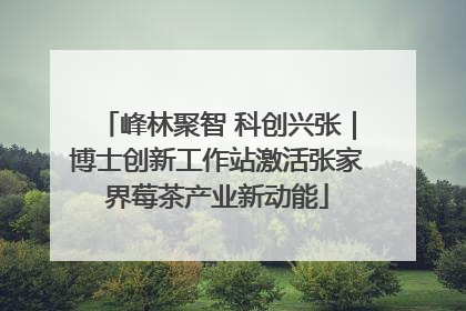 峰林聚智 科创兴张｜博士创新工作站激活张家界莓茶产业新动能