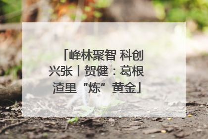 峰林聚智 科创兴张丨贺健：葛根渣里“炼”黄金