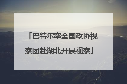 巴特尔率全国政协视察团赴湖北开展视察