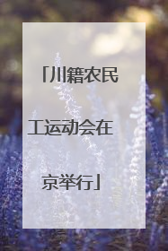 川籍农民工运动会在京举行