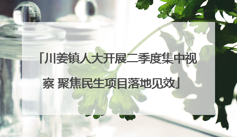 川姜镇人大开展二季度集中视察 聚焦民生项目落地见效