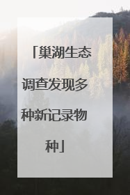 巢湖生态调查发现多种新记录物种