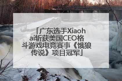 广东选手Xiaohai斩获美国CEO格斗游戏电竞赛事《饿狼传说》项目冠军