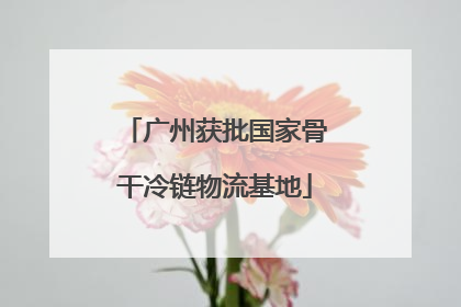 广州获批国家骨干冷链物流基地