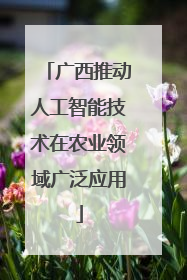 广西推动人工智能技术在农业领域广泛应用