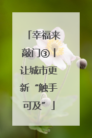 幸福来敲门③丨让城市更新“触手可及”