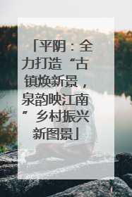 平阴：全力打造“古镇焕新景，泉韵映江南”乡村振兴新图景