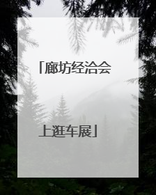 廊坊经洽会上逛车展