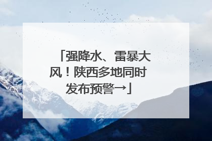 强降水、雷暴大风！陕西多地同时发布预警→