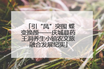 引“凤”突围 蝶变换颜——庆城县药王洞养生小镇农文旅融合发展纪实