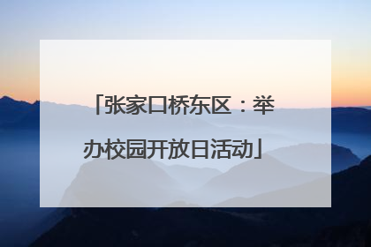 张家口桥东区：举办校园开放日活动
