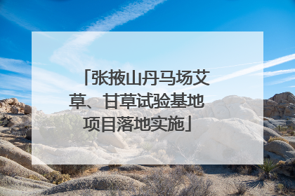 张掖山丹马场艾草、甘草试验基地项目落地实施