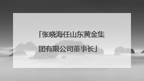 张晓海任山东黄金集团有限公司董事长