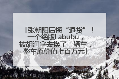 张朝阳后悔“退货”！一个绝版Labubu，被胡润拿去换了一辆车，整车原价值上百万元