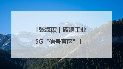 张海霞｜破题工业5G“信号盲区”