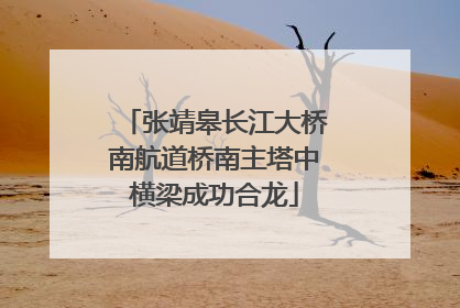 张靖皋长江大桥南航道桥南主塔中横梁成功合龙