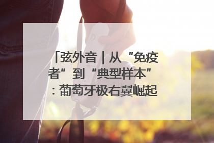 弦外音｜从“免疫者”到“典型样本”：葡萄牙极右翼崛起背后的欧洲困局